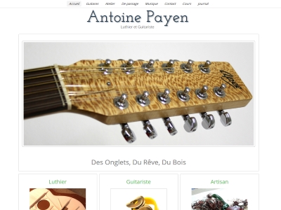 Apee guitars - Antoine Payen Luthier